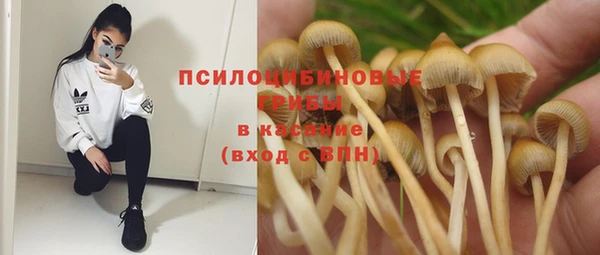 экстази Крымск