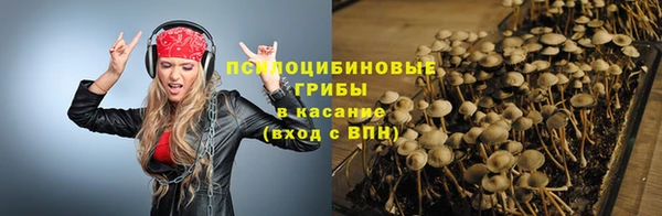 apvp Беломорск
