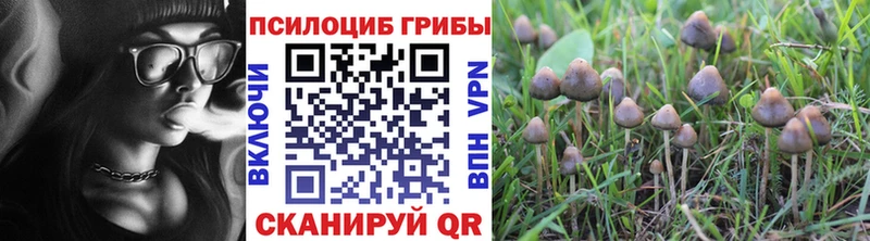 Псилоцибиновые грибы мицелий  Горняк 