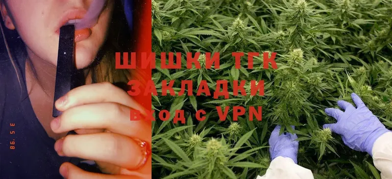 Каннабис SATIVA & INDICA  цена наркотик  Горняк 